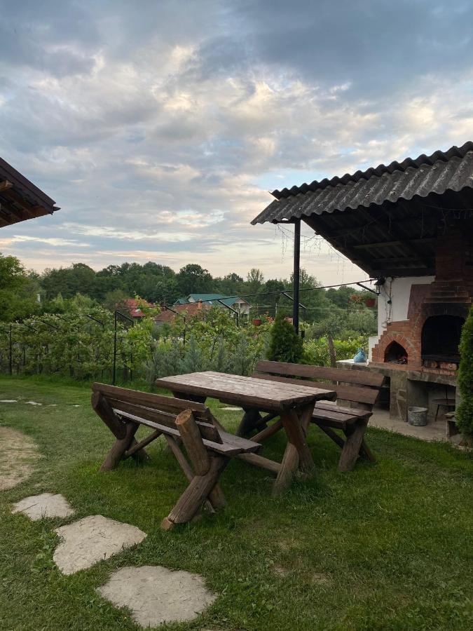 Pensiunea Angelica Baia de Fier Dış mekan fotoğraf
