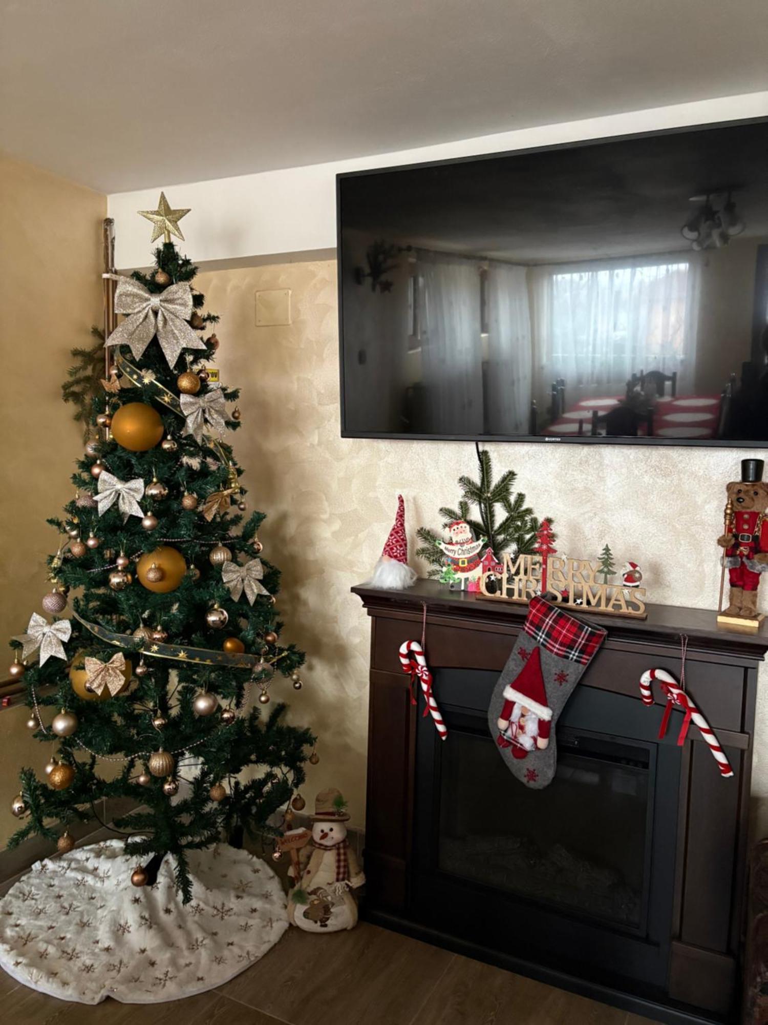 Pensiunea Angelica Baia de Fier Dış mekan fotoğraf